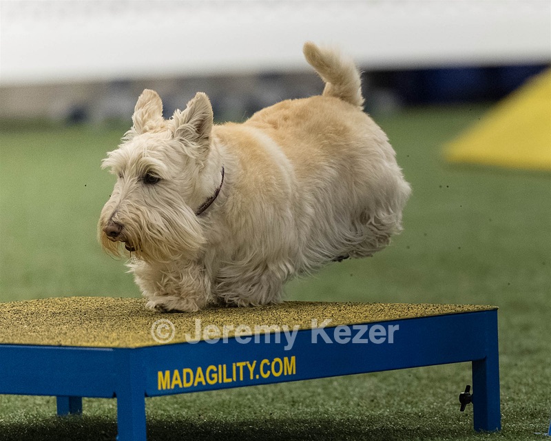 Monty Krapf