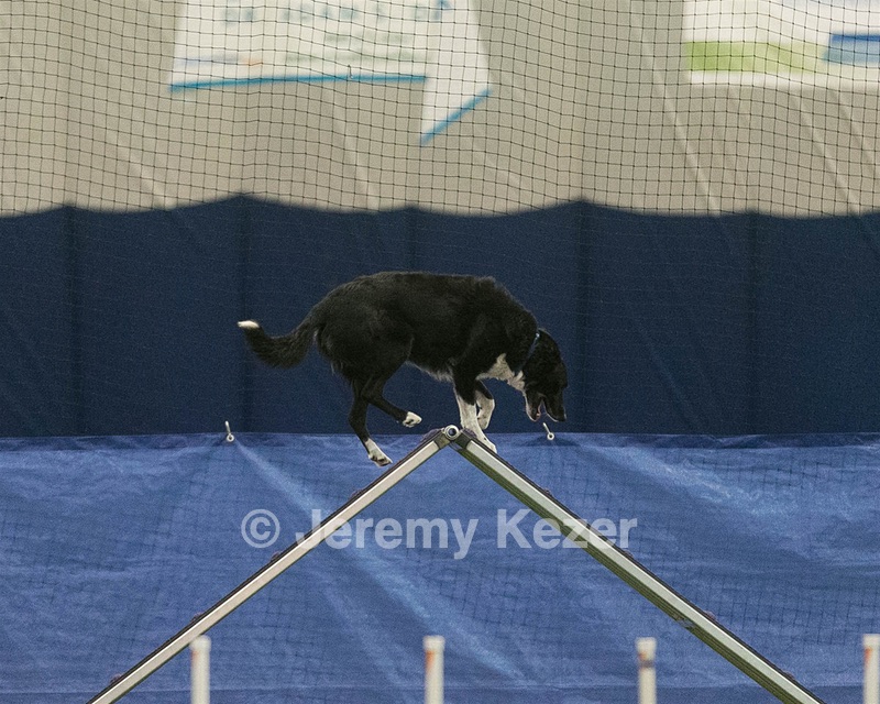20150321-LEAP-0784.jpg