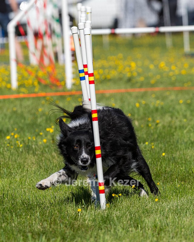 Sport Daniels