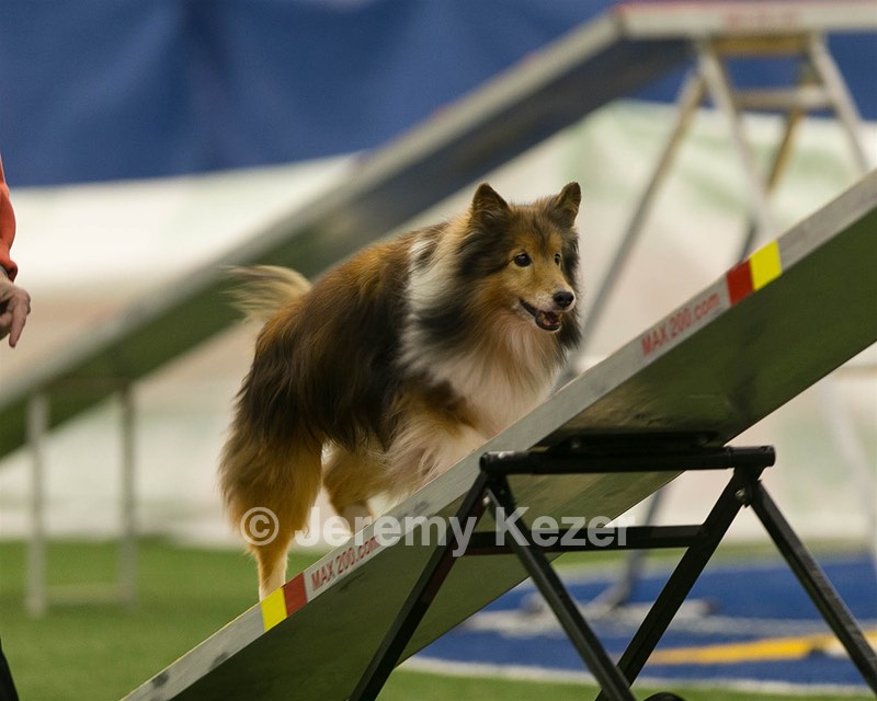 20150321-LEAP-1697.jpg