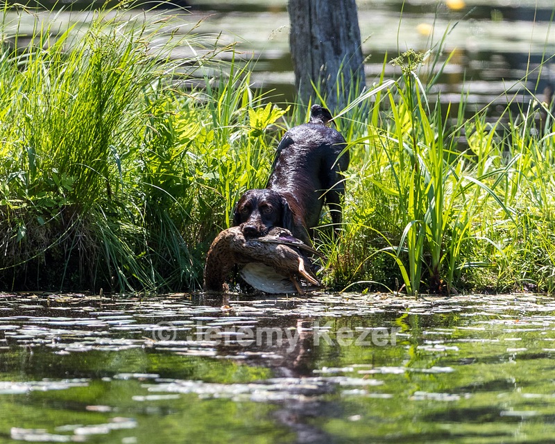 20210606-SEAW-0766.jpg