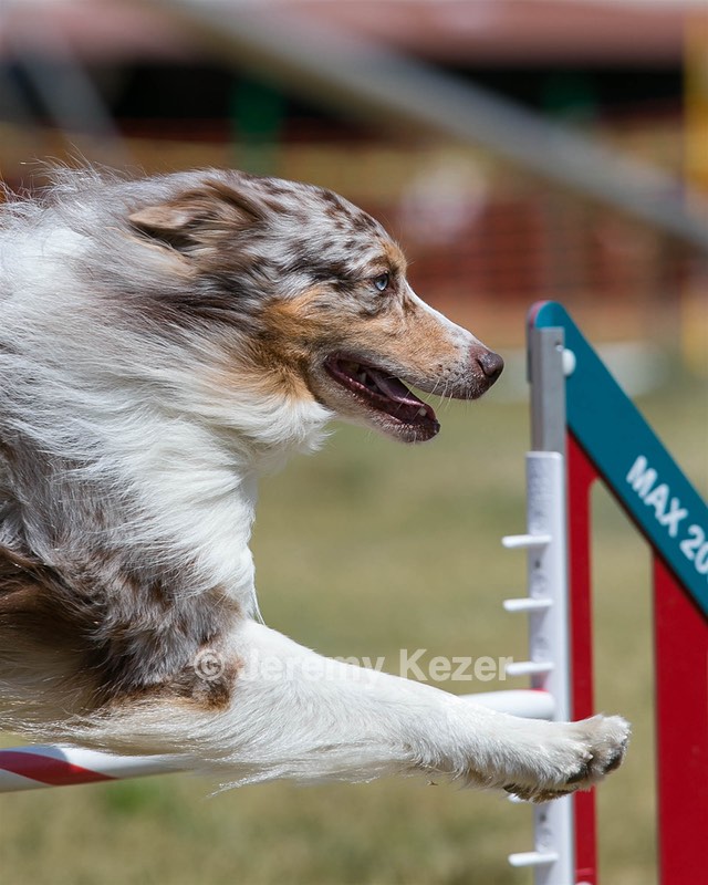20150613-CCKC-0077.jpg