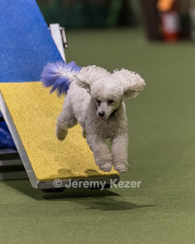 Bolt Kearney