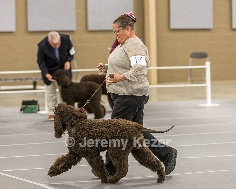 17 - Ballyhoo’s V Finnegan Mcneill BN FDC CA BCAT DS DJ CGCA TKN VHMA JH JHU WD