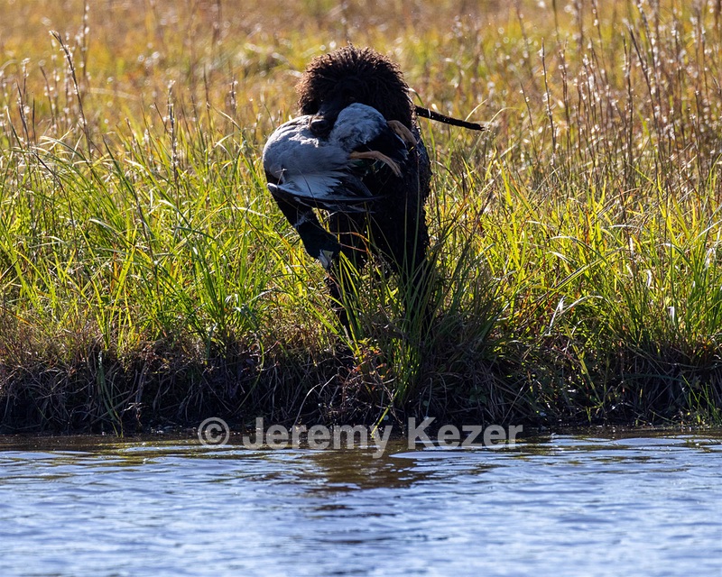 Ghillie Kezer