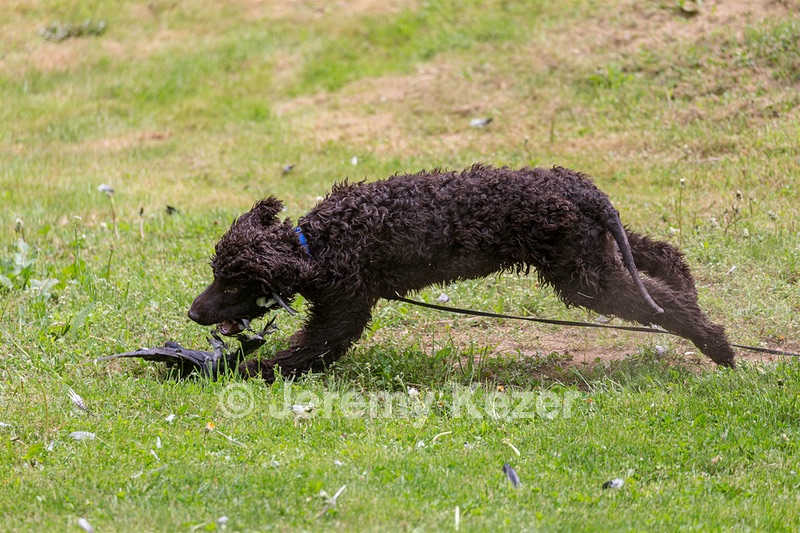 20190512-BD-0068.jpg