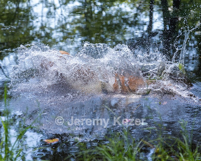20170716-WCXW-1061.jpg