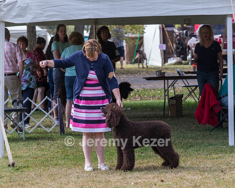 20 - GCH ALL GREEN WI'ENVY V ALPHA NORDIC DS CD RE