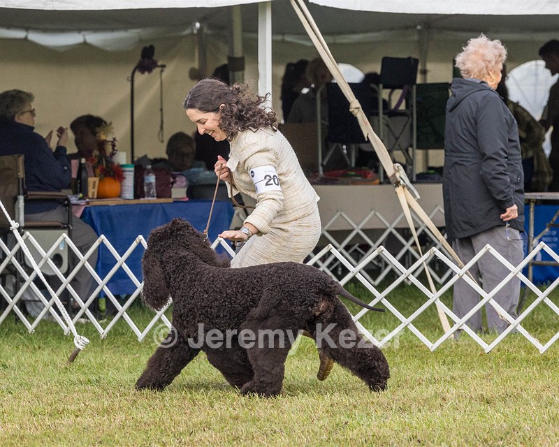 20 - GCHS CH POOLE'S IDE SAY NO MORE OHS CD RE JH DS (Simone)