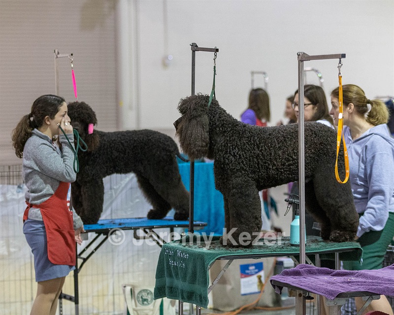 20190111-ASC-0013.jpg