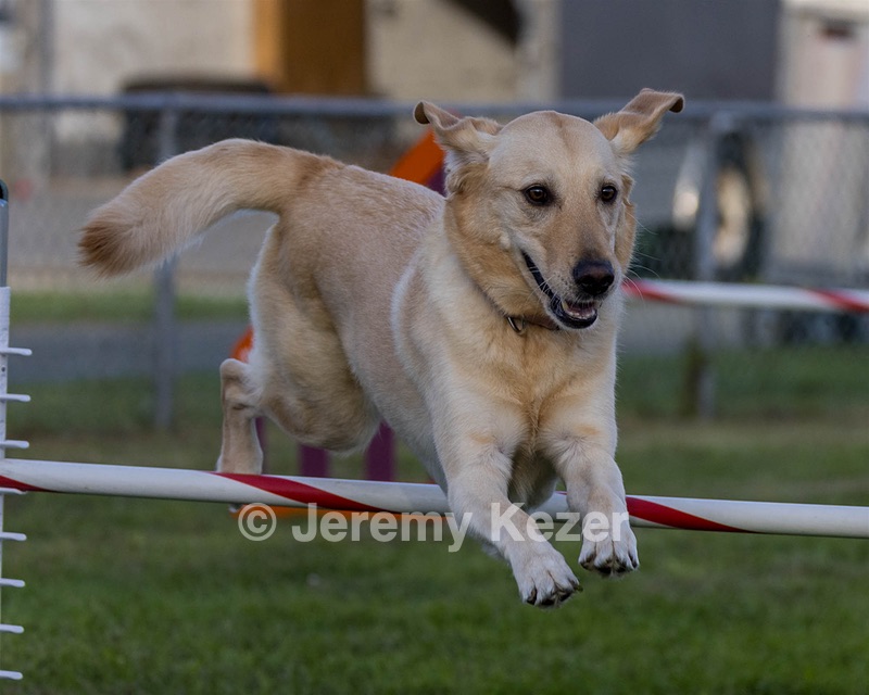20230916-PVKC-1743.jpg