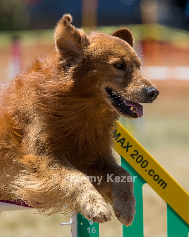 20160618-CCKC-1483.jpg