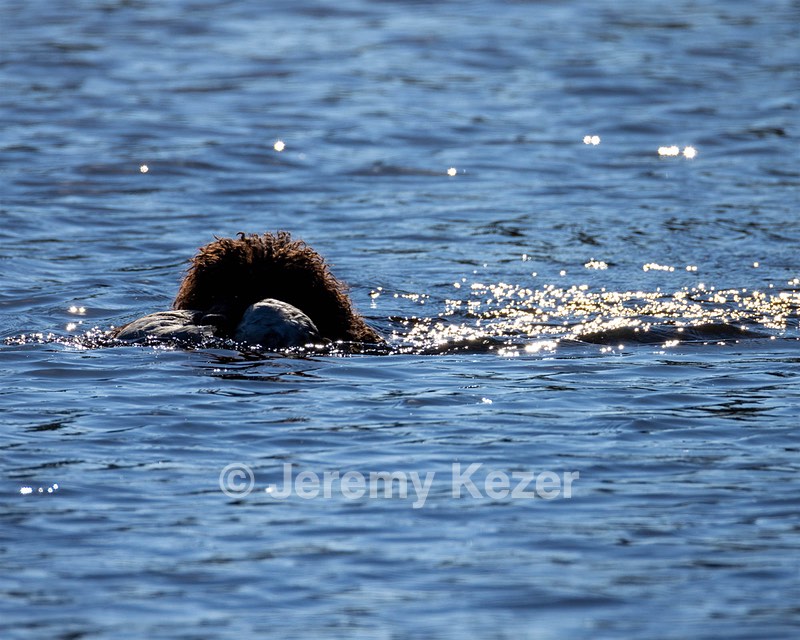 Ghillie Kezer