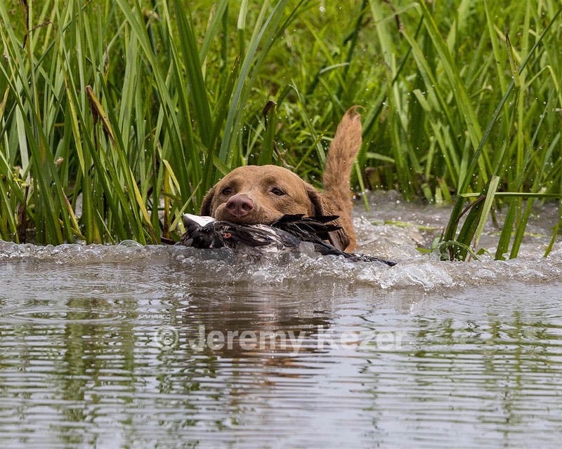 20220724-JHW-0125.jpg