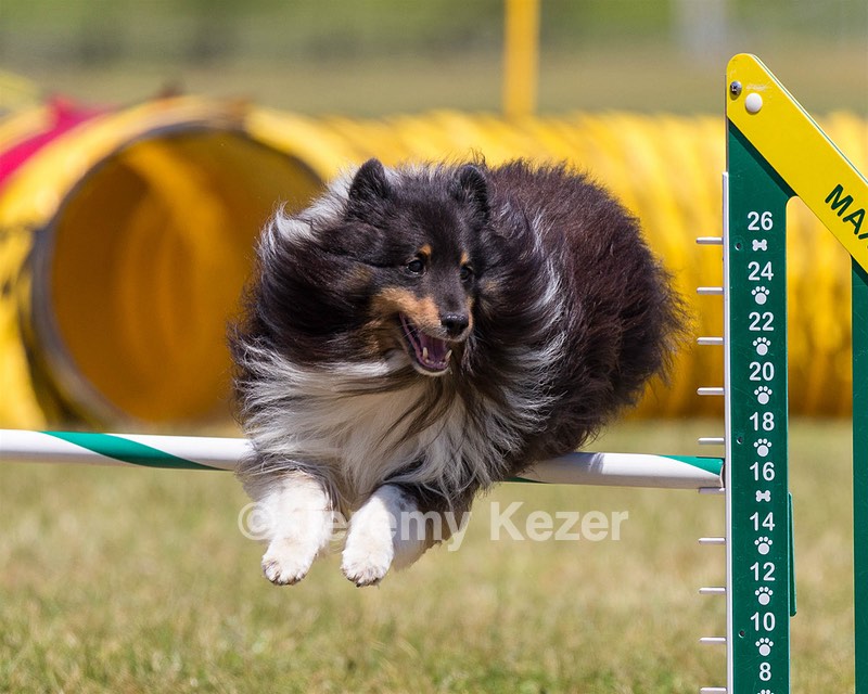 20180617-1402.jpg