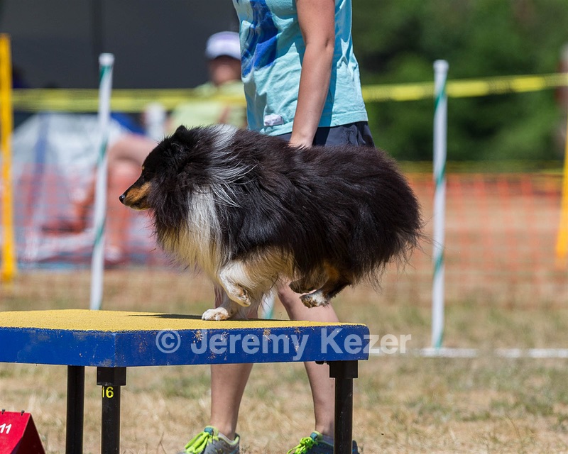 20160619-CCKC-1251.jpg