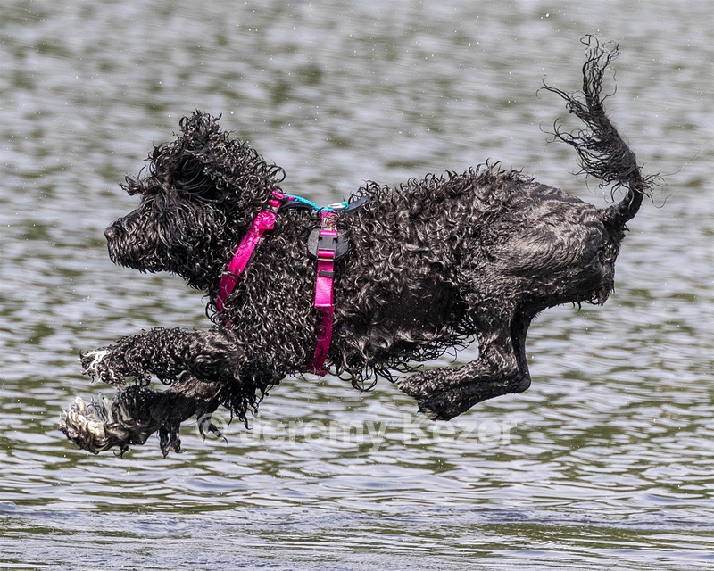 "Mistral" & Tobi-Ann