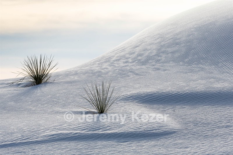 White Sands National Monument, New Mexico