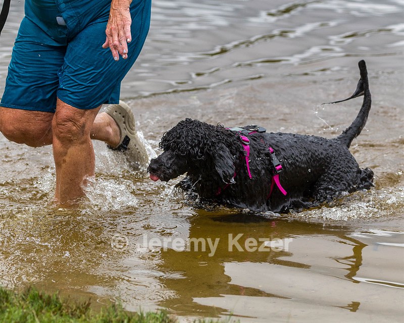 "Tango" & Cathy