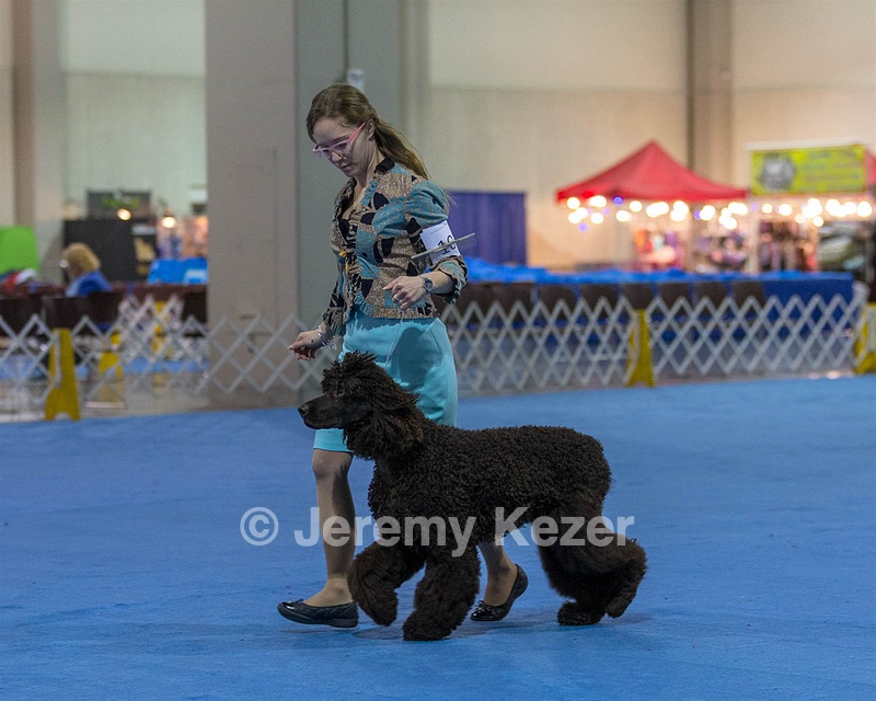 10 - Poole's Ide Touch Of Mink (Darla)