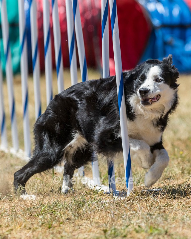20160618-CCKC-1547.jpg