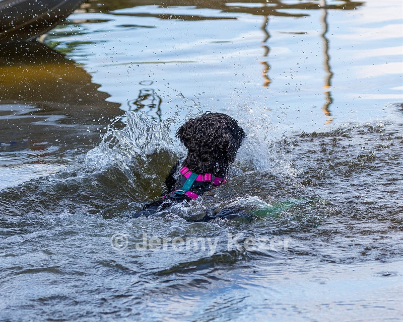Rory