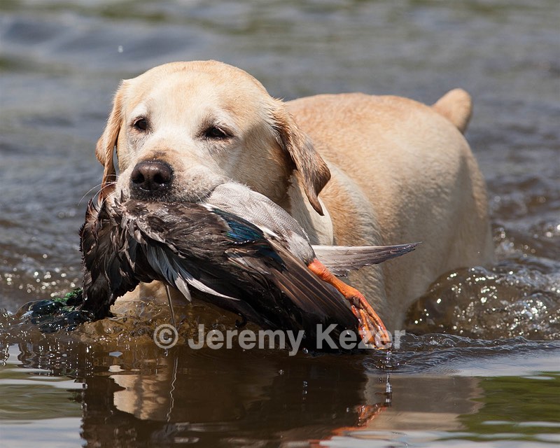 20080601-SRW-0969.jpg