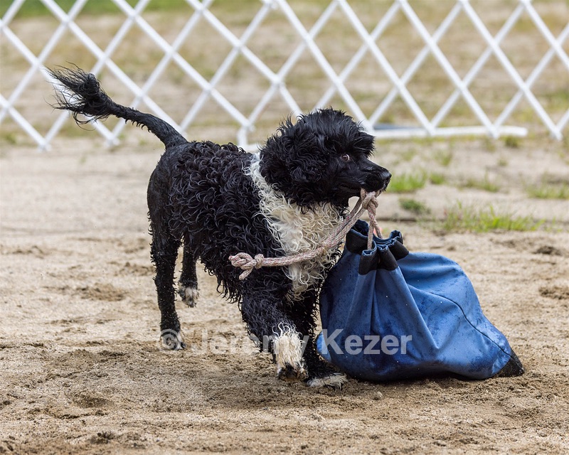 Windy Nottingham