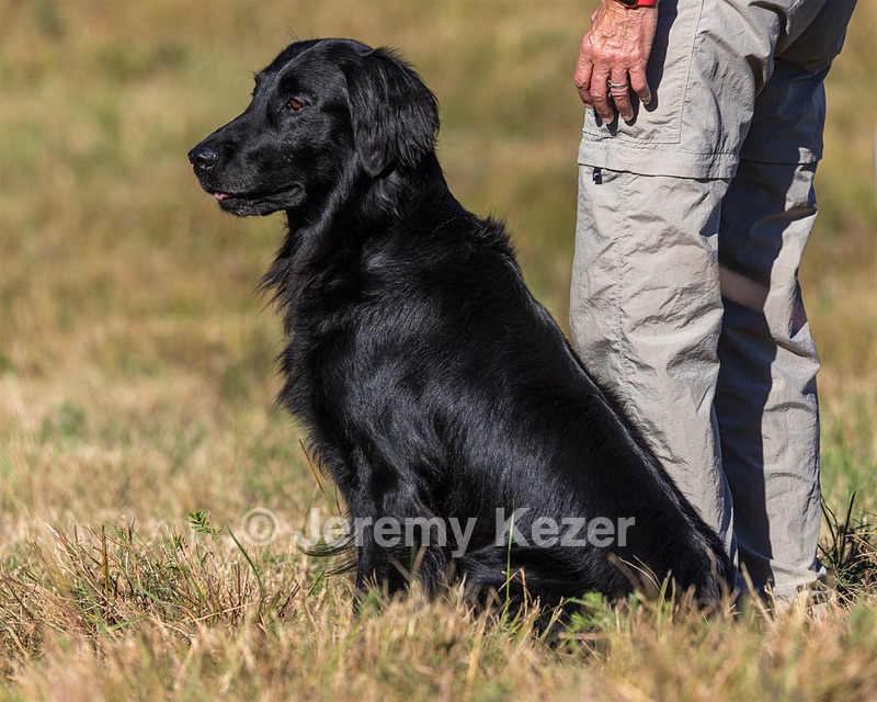 Ziva Millikin
