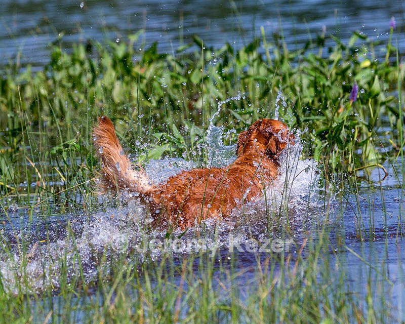 LUNA DUFFY