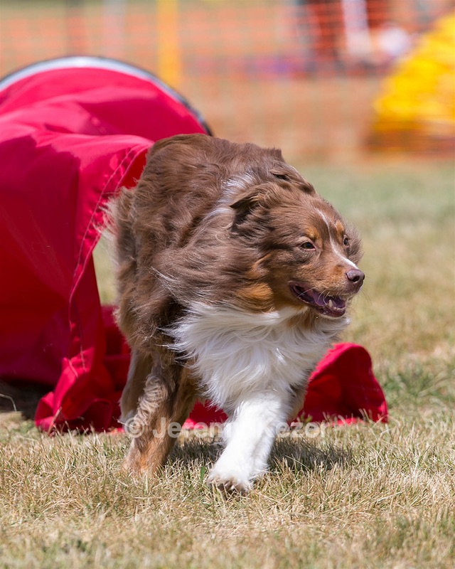 20150613-CCKC-0193.jpg