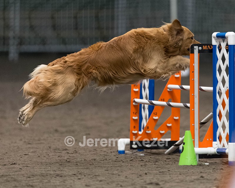 Pup-Pup Beaulieu