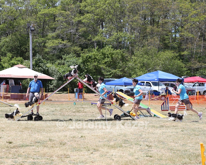 20150613-CCKCMC-0005.jpg