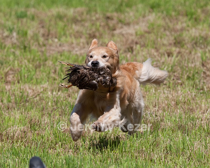 20130602-SEAL-0246.jpg