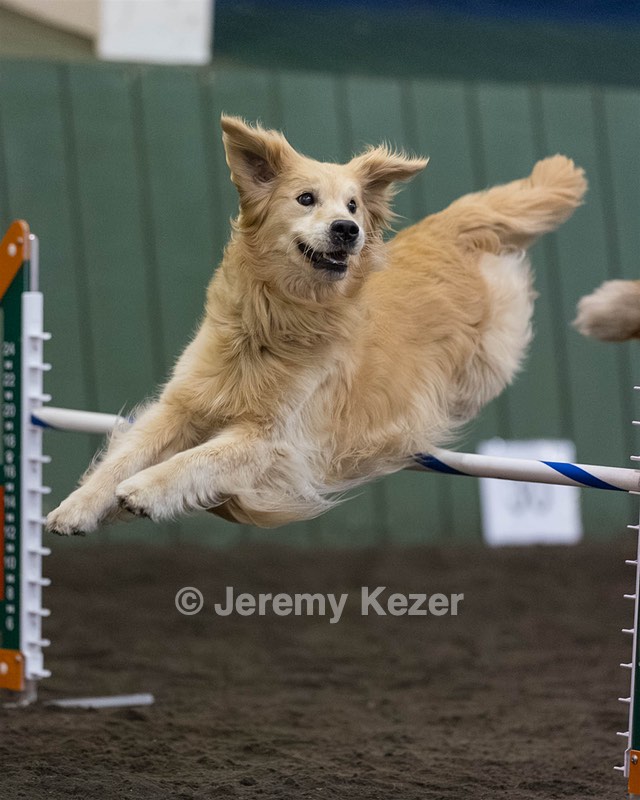 Junior Eliot-Johnson