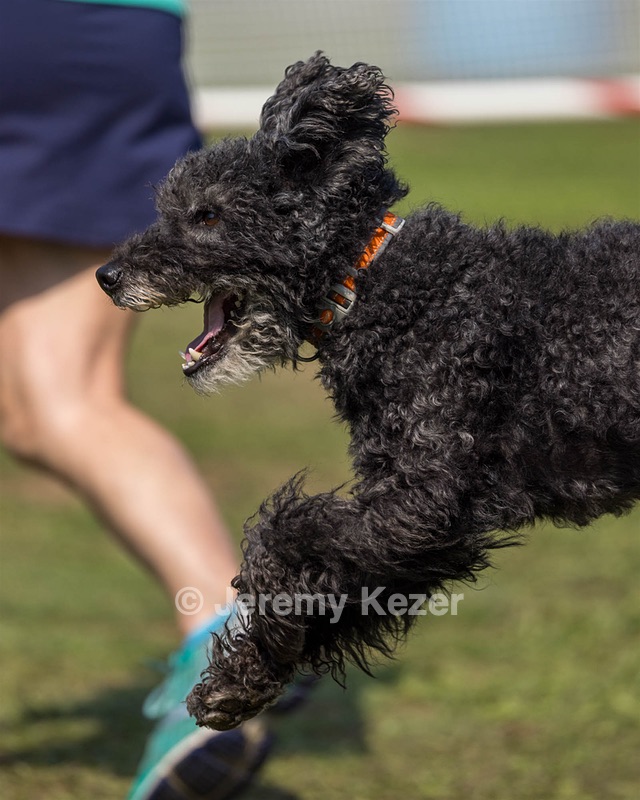 Frankie Barnum