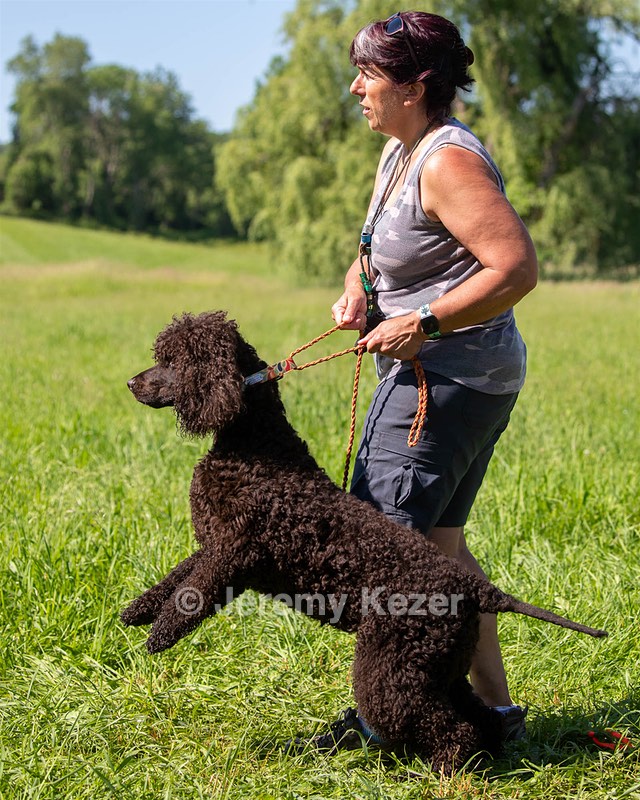 Ghillie Kezer