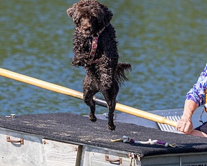Tootsie Totten