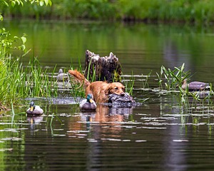 20170604-SEAW-0015.jpg