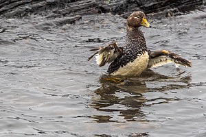 20191217-0872.jpg