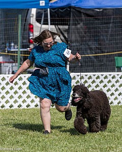 64 - CH Navarone's Absolutely Fabulous RN CGC (Edwina)