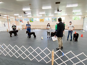 20210828-C-0005.jpg
