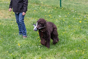 20190512-BD-0181.jpg