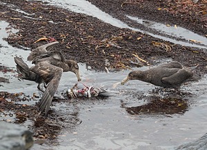 20191217-0918.jpg