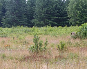 20130713-C-0002.jpg
