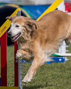 20230916-PVKC-1196.jpg