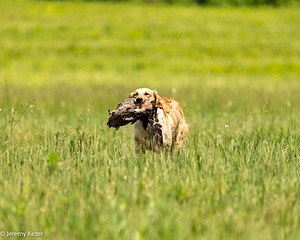 20220613-WCXW-0018.jpg