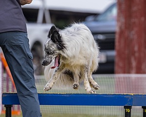 20230917-PVKC-2813.jpg