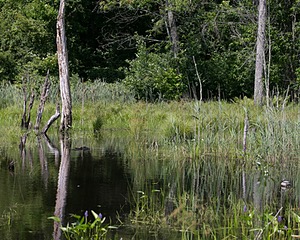20140810-C-0056.jpg