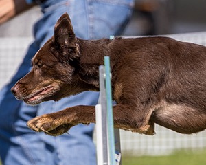 20220917-PVKC-1565.jpg